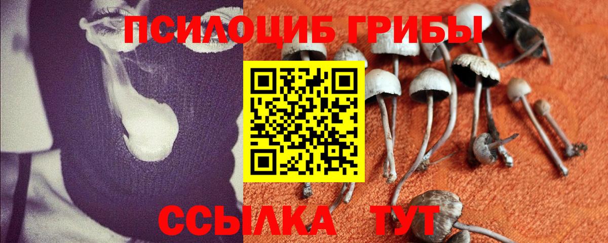Псилоцибиновые грибы Magic Shrooms  наркошоп  Мичуринск  Вход с VPN  Галлюциногенные грибы прущие грибы 
